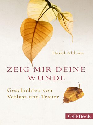 cover image of Zeig mir deine Wunde